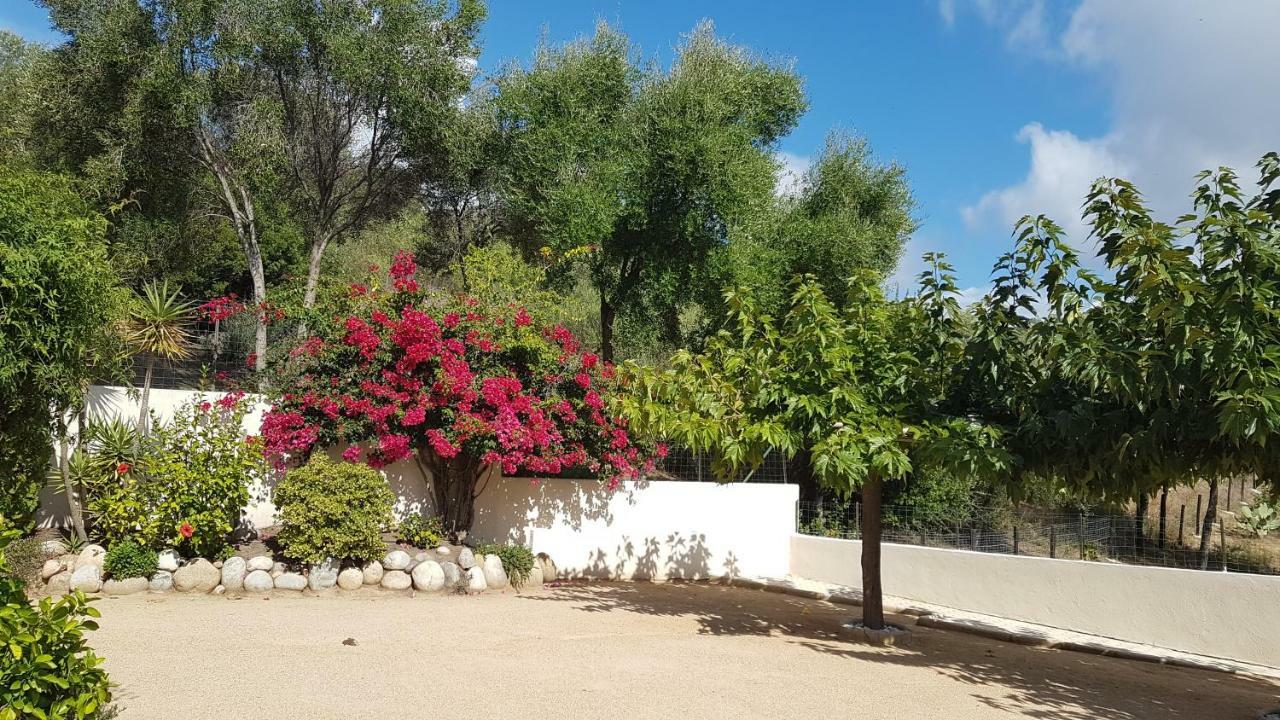Residence U Melu Grand T3 Jaune A L'Etage Tiuccia Luaran gambar