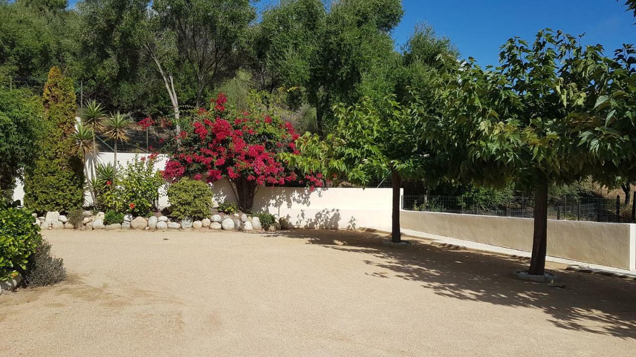 Residence U Melu Grand T3 Jaune A L'Etage Tiuccia Luaran gambar