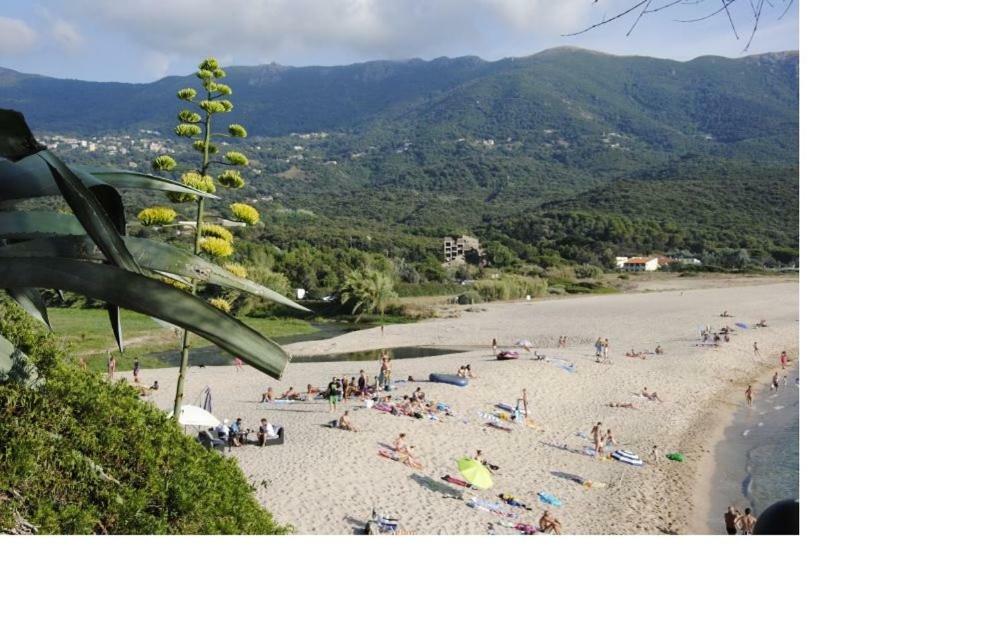 Residence U Melu Grand T3 Jaune A L'Etage Tiuccia Luaran gambar